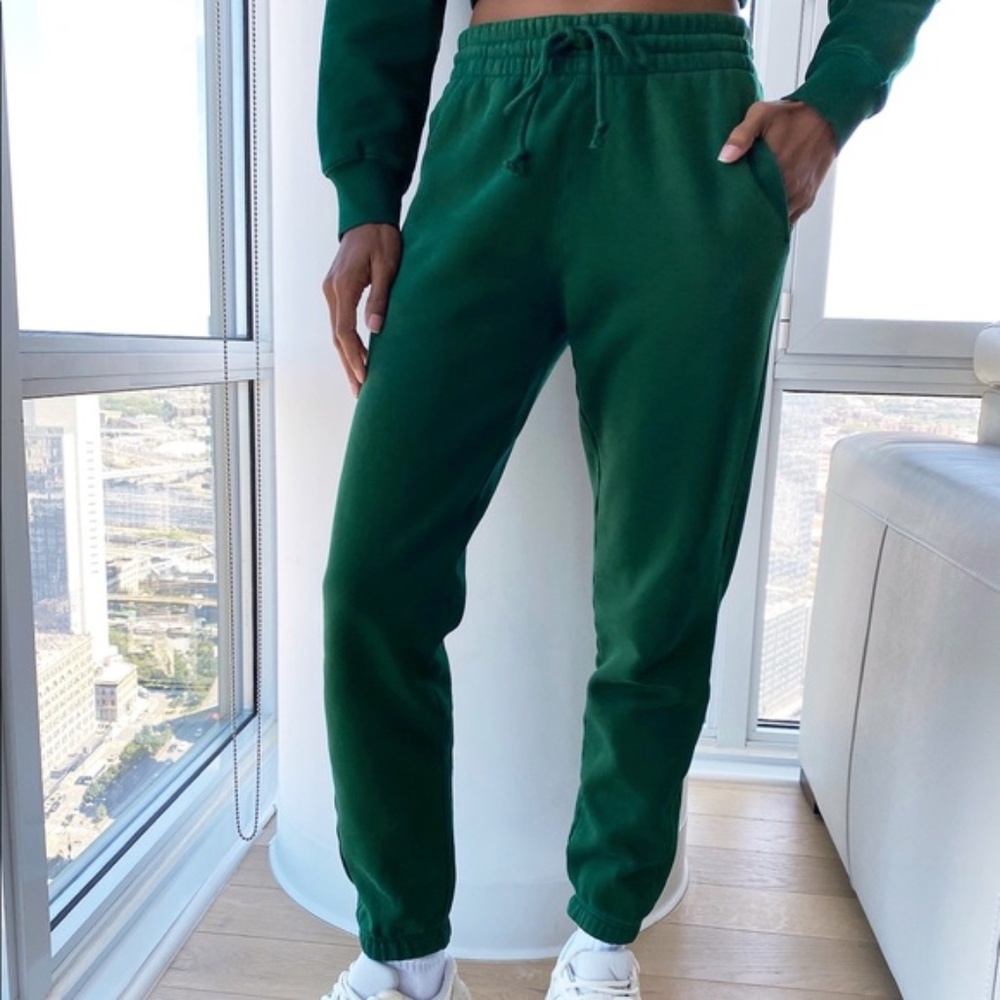 Aritzia TNA Cozy AF Fleece Perfect sweatpant in Kelp-a deep green
